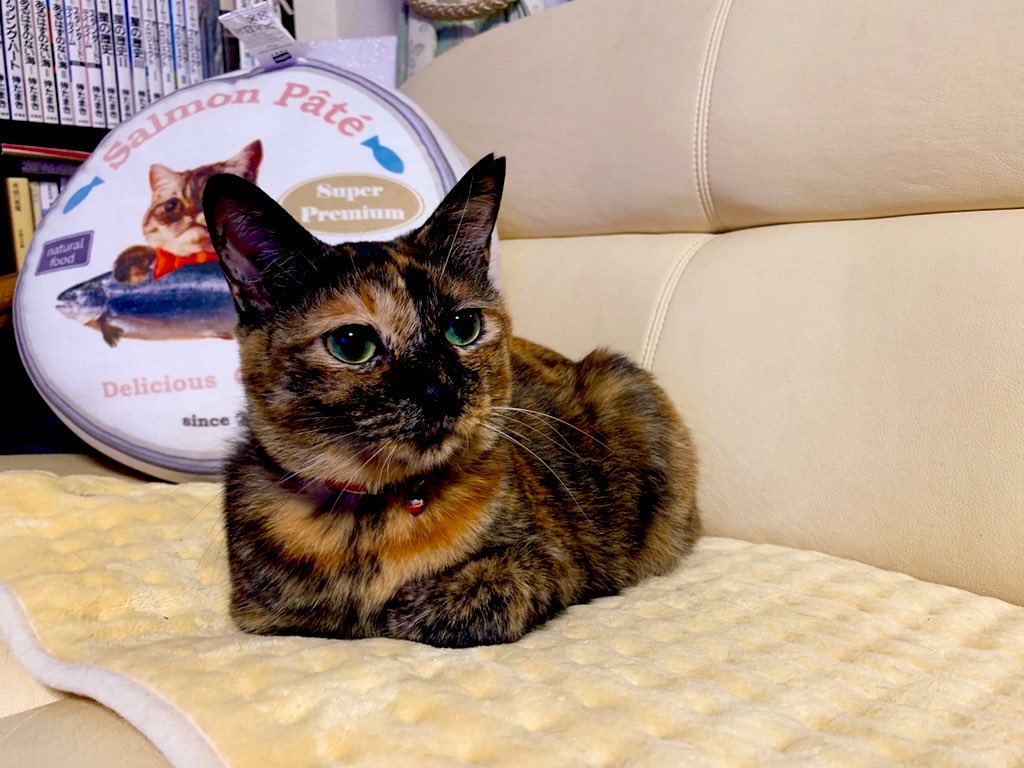 な す 🍆 一寸先は沼👢