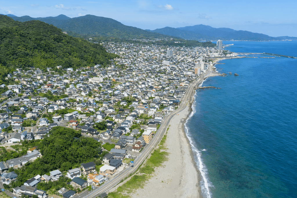 大部分