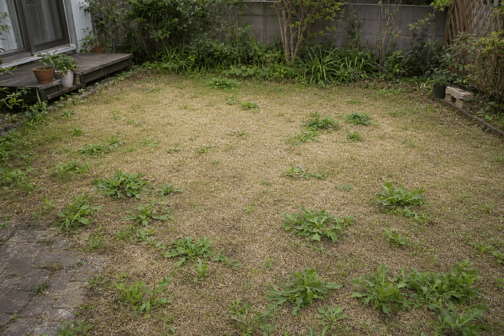所々