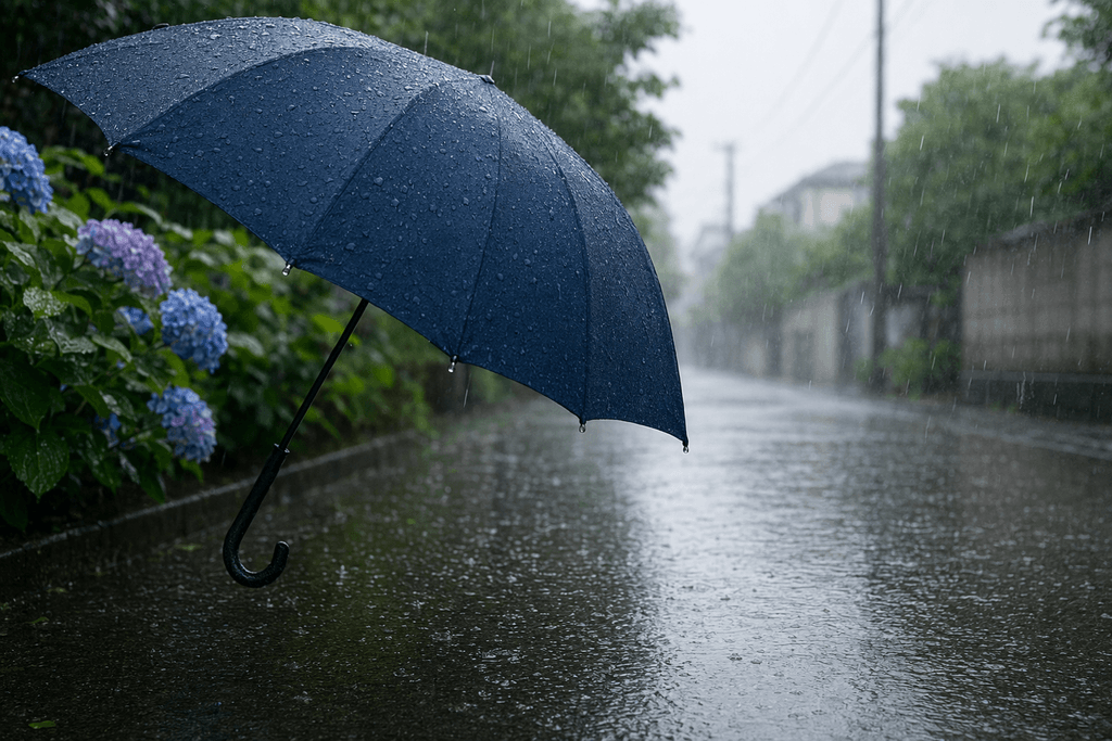 雨
