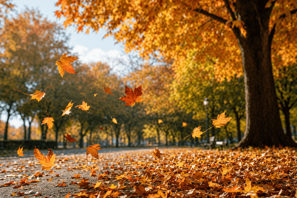 fall