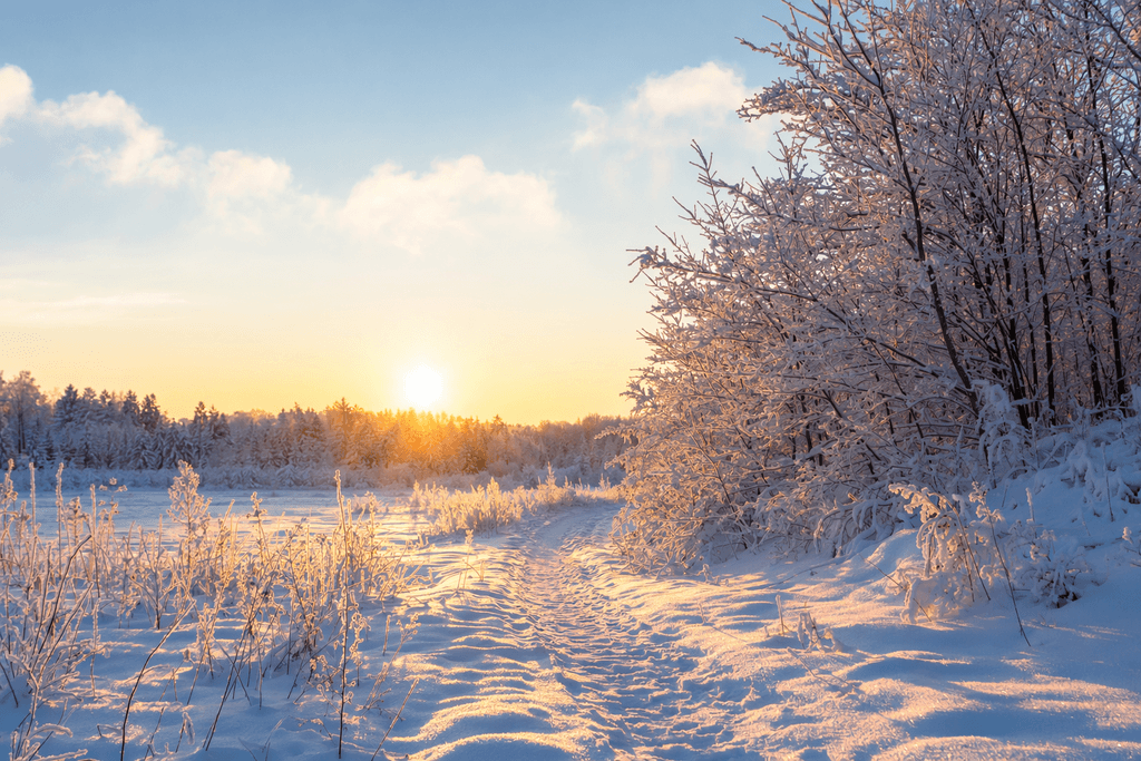 January