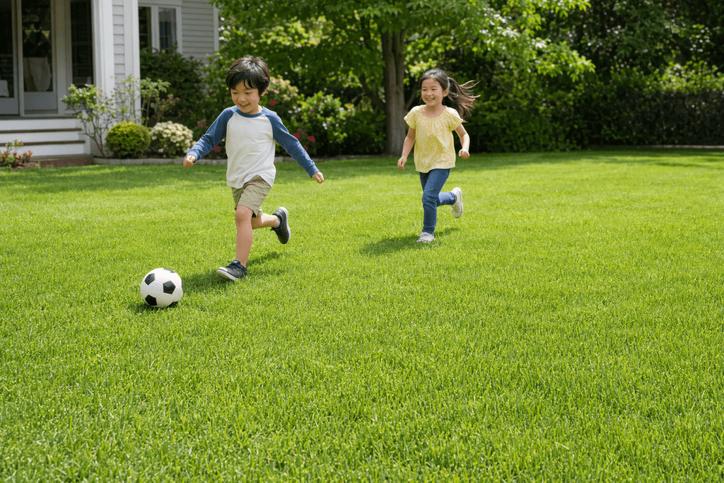 lawn