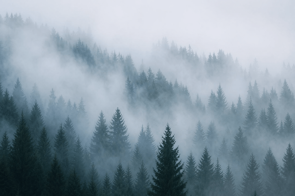 mist