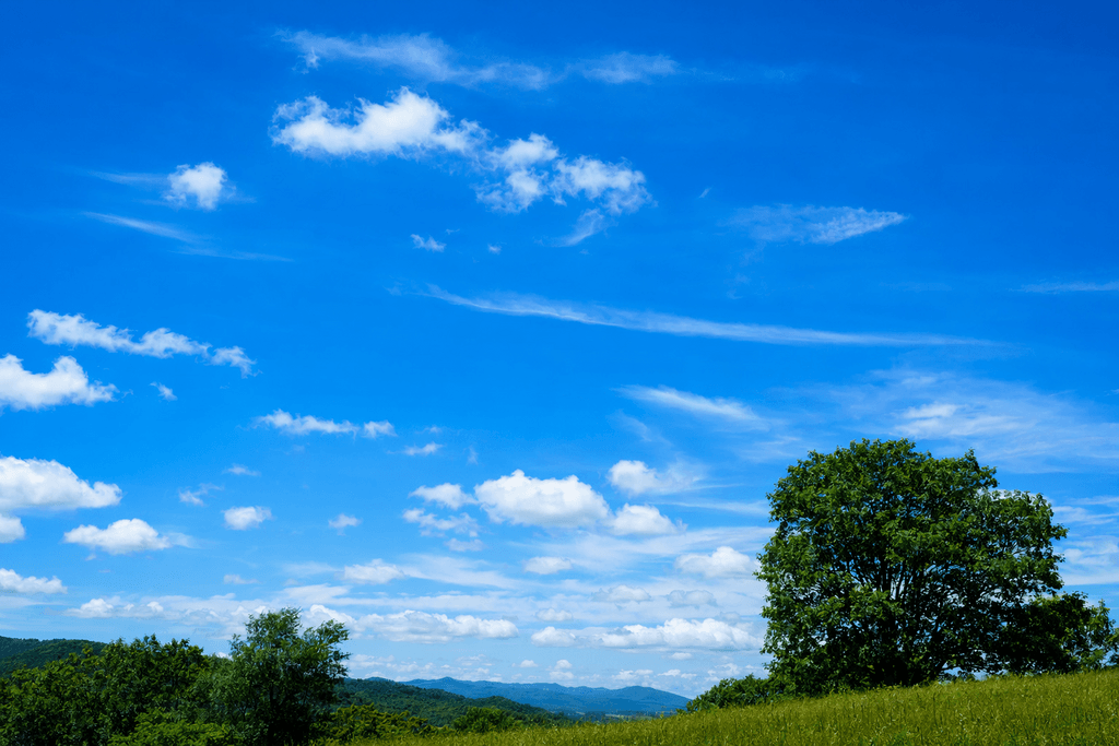 blue
