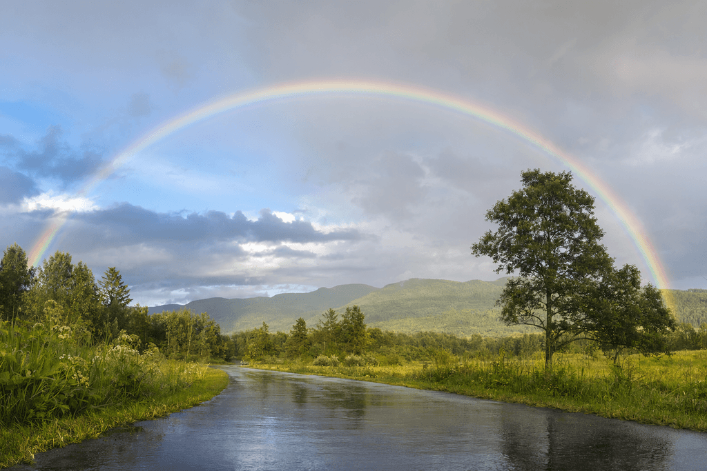 rainbow