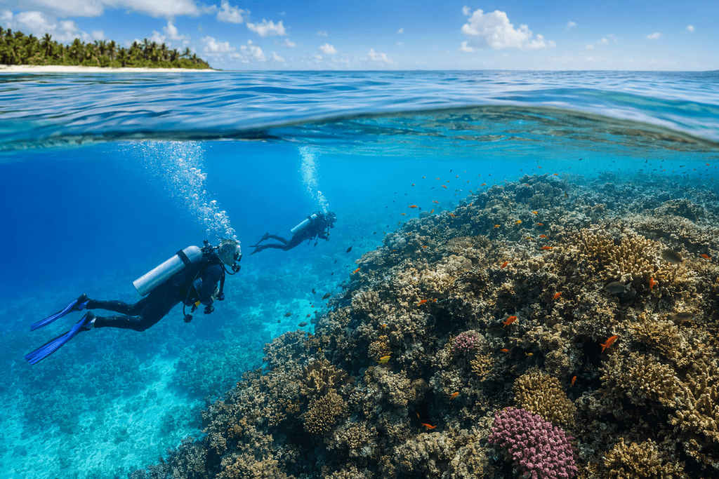 reef
