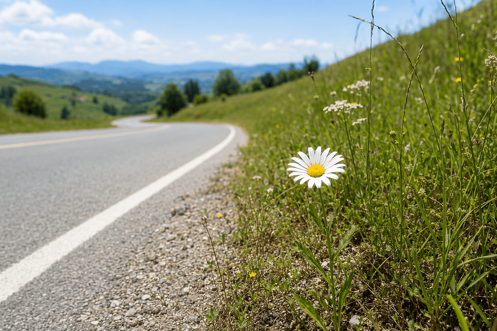 roadside