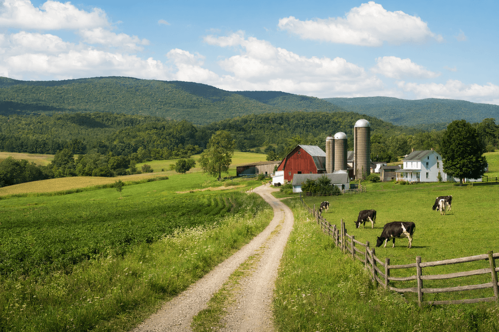 rural