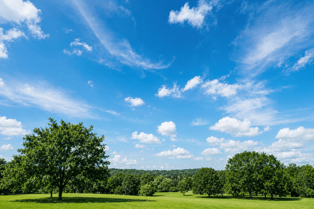 sky