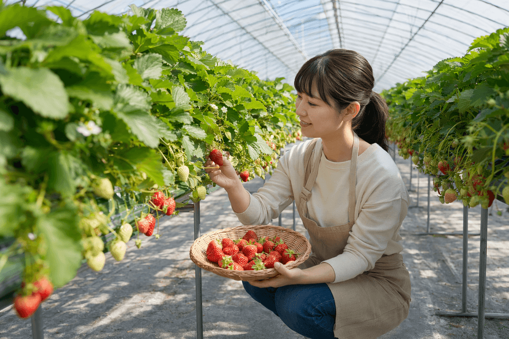 strawberry