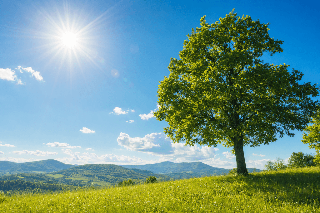sun