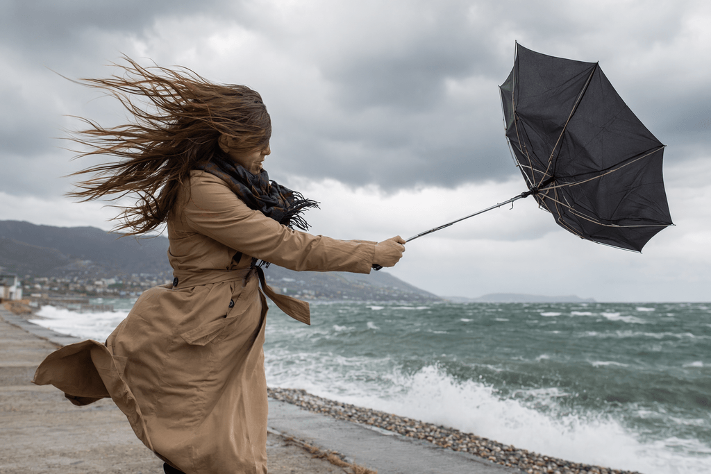 wind