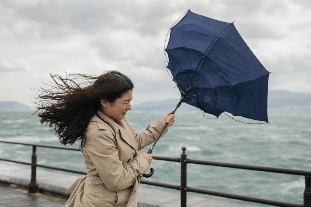 windy