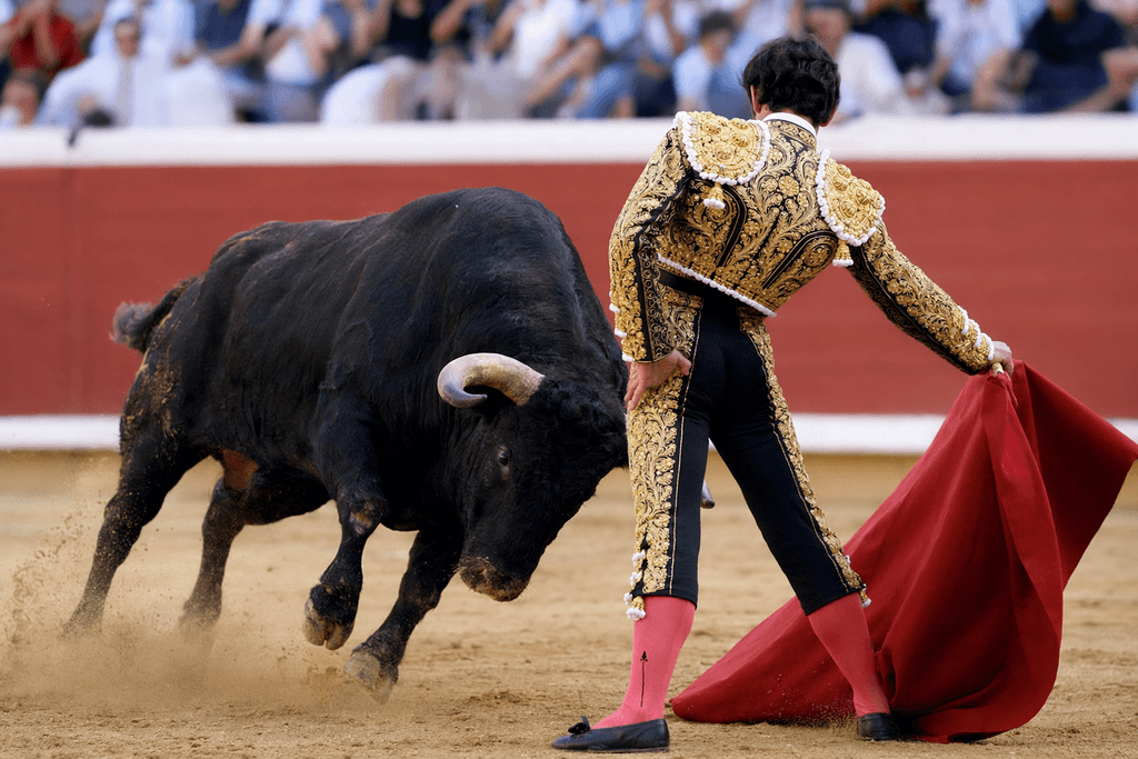 bull