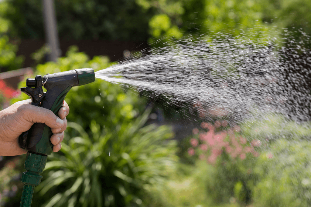 spray