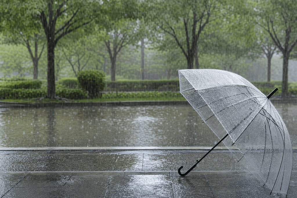 雨
