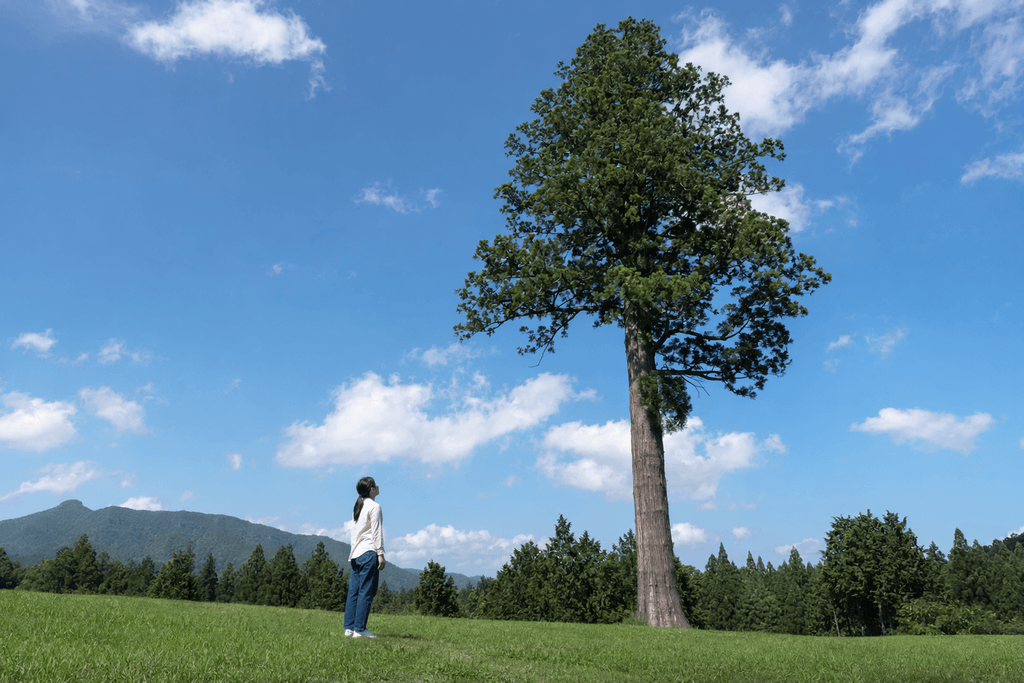 高