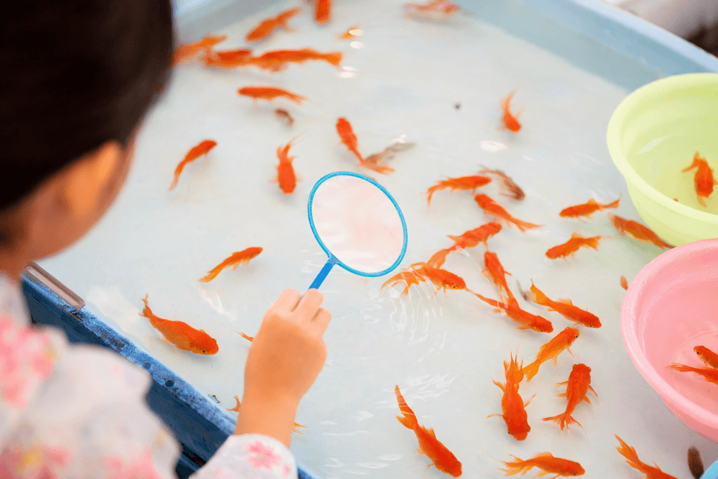 金魚