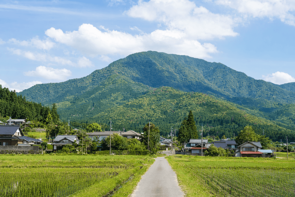 地方