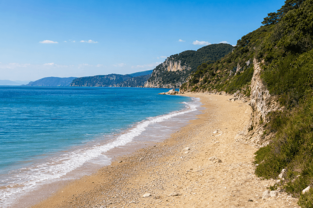 海岸